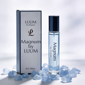 magnum inspirowany paco rabanne / one million